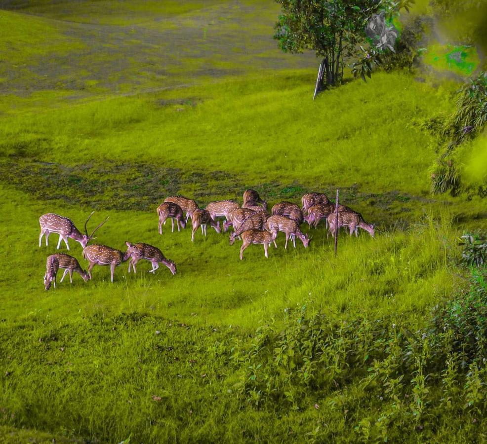 Gokarna Forest Resort Kathmandu Esterno foto